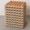 Lot de 10 Tablettes d’Œufs de Poulet – 300 Pièces