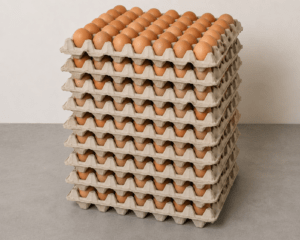 Lot de 10 Tablettes d’Œufs de Poulet – 300 Pièces
