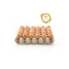 Lot de 10 Tablettes d’Œufs de Poulet – 300 Pièces