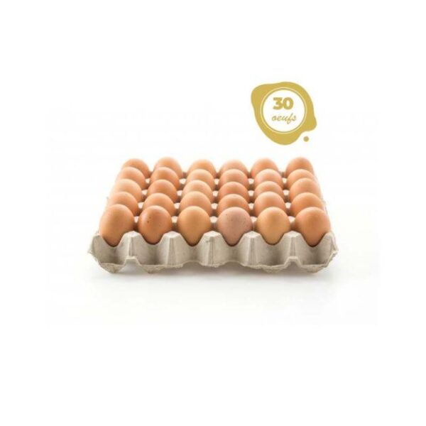 Lot de 10 Tablettes d’Œufs de Poulet – 300 Pièces