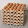 Lot de 5 Tablettes d’Œufs de Poulet – 150 Pièces