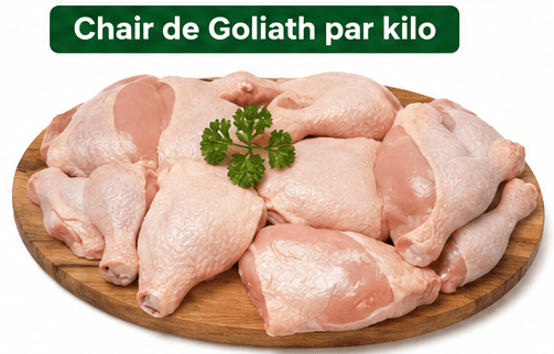 Chair de Poulet Goliath - Viande Locale de Qualité