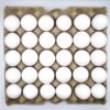 Lot de 10 Tablettes d’Œufs de Poulet – 300 Pièces