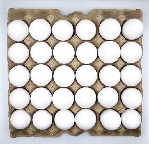 Lot de 10 Tablettes d’Œufs de Poulet – 300 Pièces