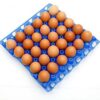 Lot de 10 Tablettes d’Œufs de Poulet – 300 Pièces
