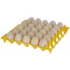 Lot de 10 Tablettes d’Œufs de Poulet – 300 Pièces