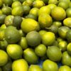 Lime de Tahiti Frais - Citron Vert de Qualité au Sénégal | 100 kg (sur des cas)