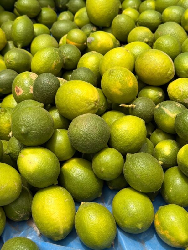 Lime de Tahiti Frais - Citron Vert de Qualité au Sénégal | 100 kg (sur des cas)