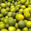 Lime de Tahiti Frais - Citron Vert de Qualité au Sénégal | 100 kg (sur des cas)