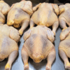 Chair de Poulet Local Amélioré SASSO Rainbow - Vente au Kilogramme (1 kg)
