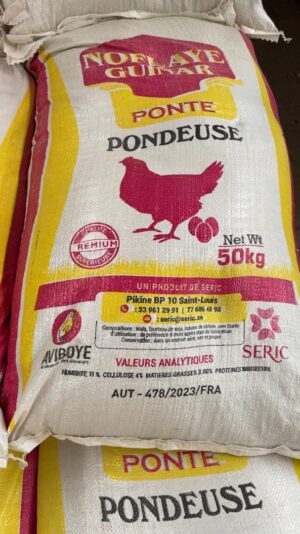 Aliment Pondeuse (phase de ponte) | 5 tonnes (100 Sacs de 50 kg)