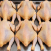 Chair de Poulet Local Amélioré SASSO Rainbow - Vente au Kilogramme (1 kg)