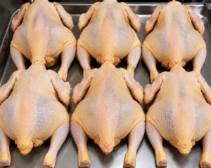 Chair de Poulet Local Amélioré SASSO Rainbow - Vente au Kilogramme (1 kg)